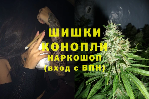 мяу мяу мука Гусев