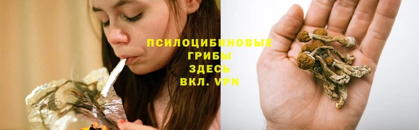 а пвп мука Гусь-Хрустальный