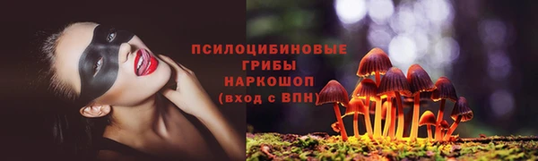 твердый Гусиноозёрск