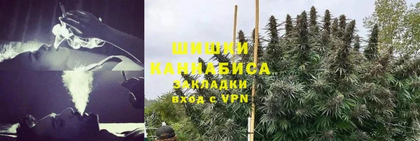 мяу мяу мука Гусев