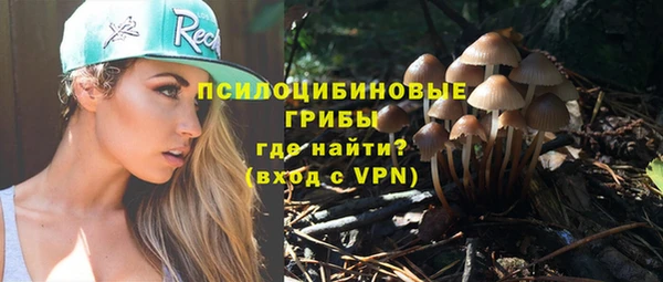 мяу мяу мука Гусев