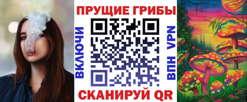 Купить  Ясный  Галлюциногенные грибы Psilocybine cubensis 